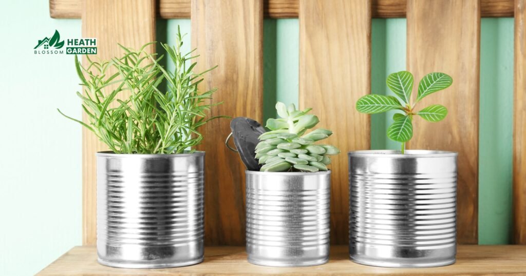 What Plants Do Well In Self-Watering Pots

