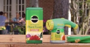 Does Miracle-Gro Go Bad If It Gets Wet?
